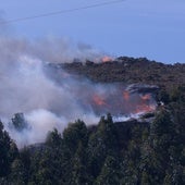 Vecinos y brigadas en uno de los fuegos forestales de esta semana en Galicia