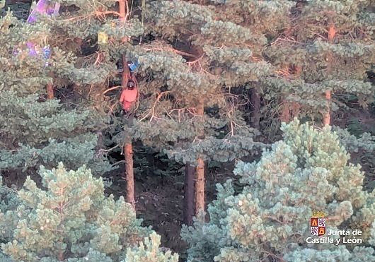 Auxilian a un parapentista que quedó colgado en un árbol en Arcones (Segovia)