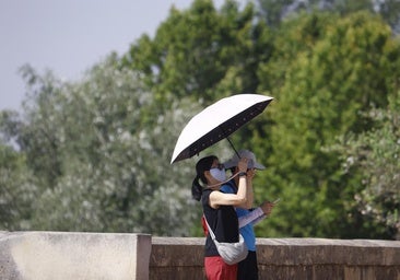 El termómetro da un ligero respiro en la jornada del miércoles y hace tope en 38,5 grados