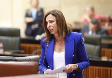 La consejera de Fomento, Rocío Díaz, en el Parlamento andaluz