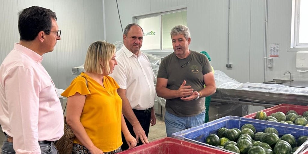 El Gobierno de Castilla-La Mancha lamenta los precios bajos del melón y la sandía aunque valora positivamente la campaña