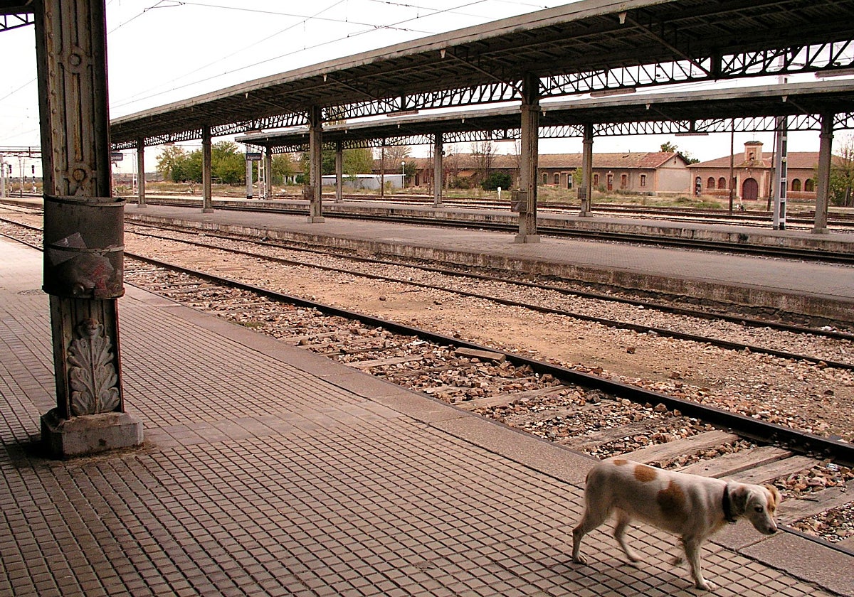 Foto de archivo de la estación de Algodor