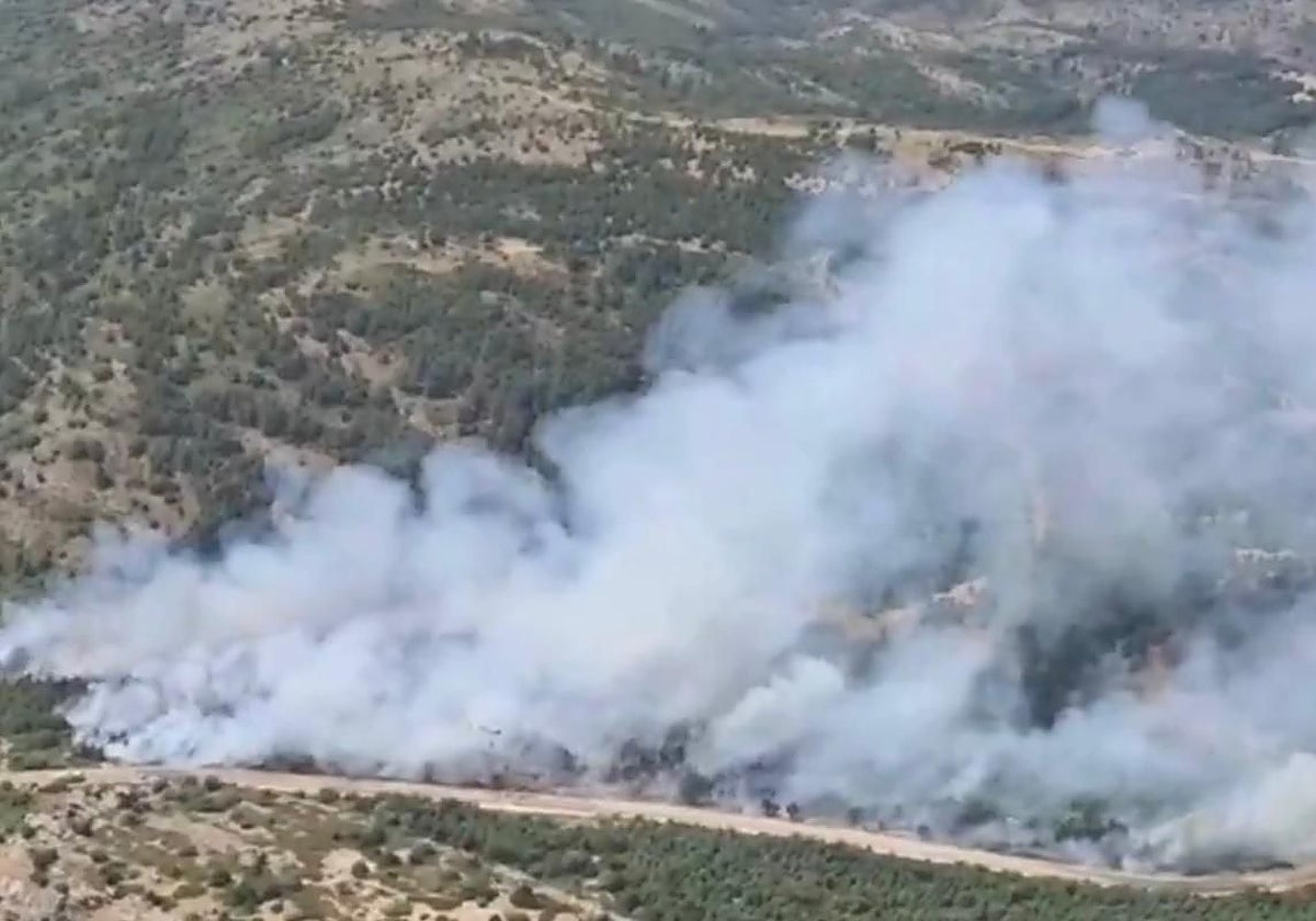 Un incendio forestal en La Huerce (Guadalajara) obliga a cortar la CM-1006 por el intenso humo