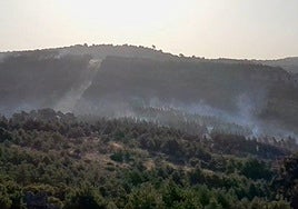 Controlado el incendio forestal desatado en Los Navalucillos, Toledo