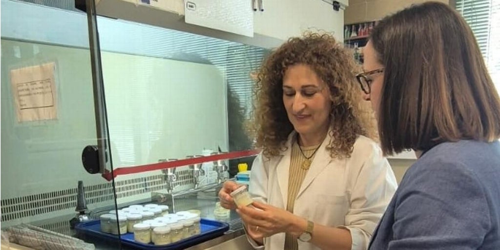 Catilla-La Mancha financia un proyecto de investigación para la mejora de análogos lácteos vegetales
