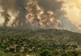 La UME acude al incendio de Navalmoralejo (Toledo) que obliga a confinar La Estrella y Villar del Pedroso (Cáceres)