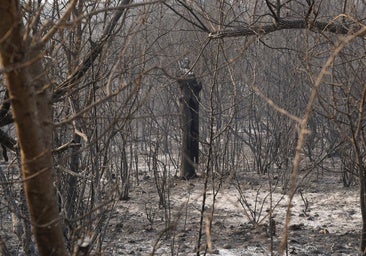 El mayor experto en Las Médulas, indignado tras el incendio: «Esto no puede pasar en 2025»