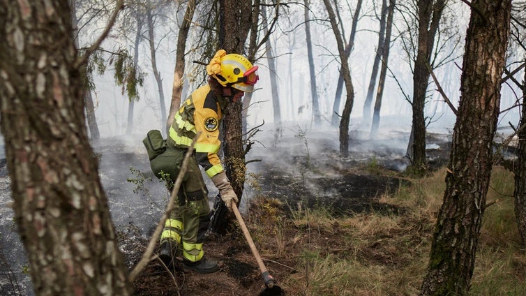 El incendio forestal en Carcastillo (Navarra) sigue activo, pero ya está estabilizado