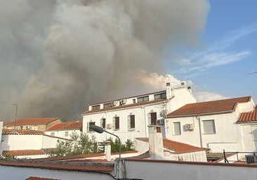 «Nos organizamos en coches, había que salir del pueblo sí o sí», recuerda una evacuada de Navalmoralejo (Toledo)