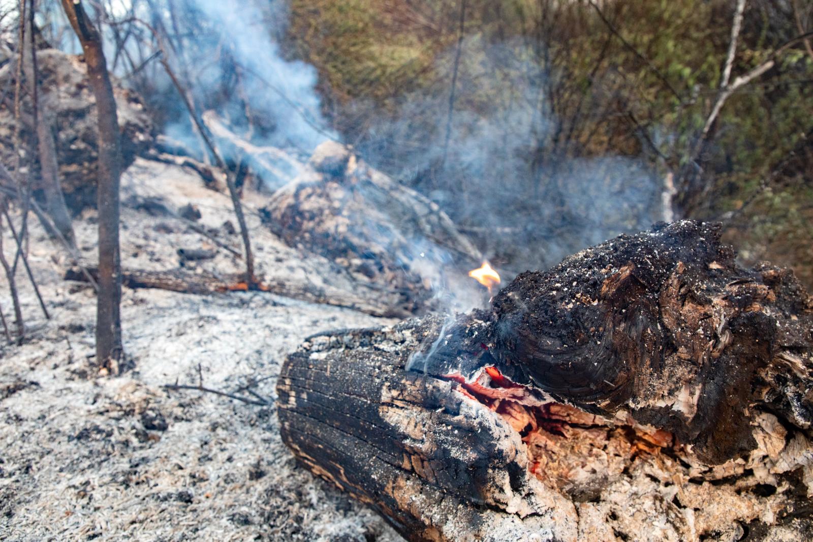 Las cenizas de incendio que atormentó a Tres Cantos la noche de este lunes