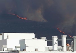 El PSOE-A elogia el trabajo del Infoca durante el incendio de Tarifa