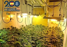Un «fuerte hedor» cerca de un cuartel de Policía guía a los agentes a desmantelar dos cultivos de marihuana en Valencia