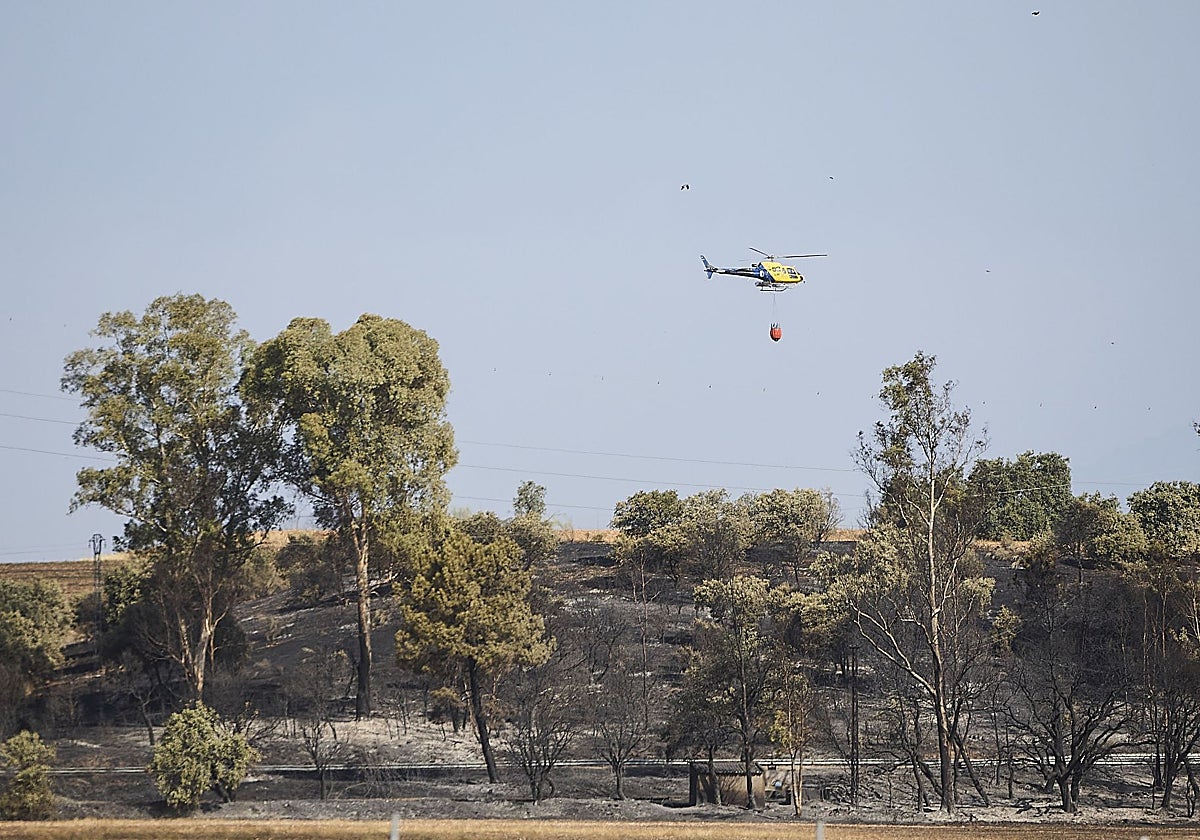 El fuego declarado en Calera y Chozas ha arrasado unas 1.000 hectáreas