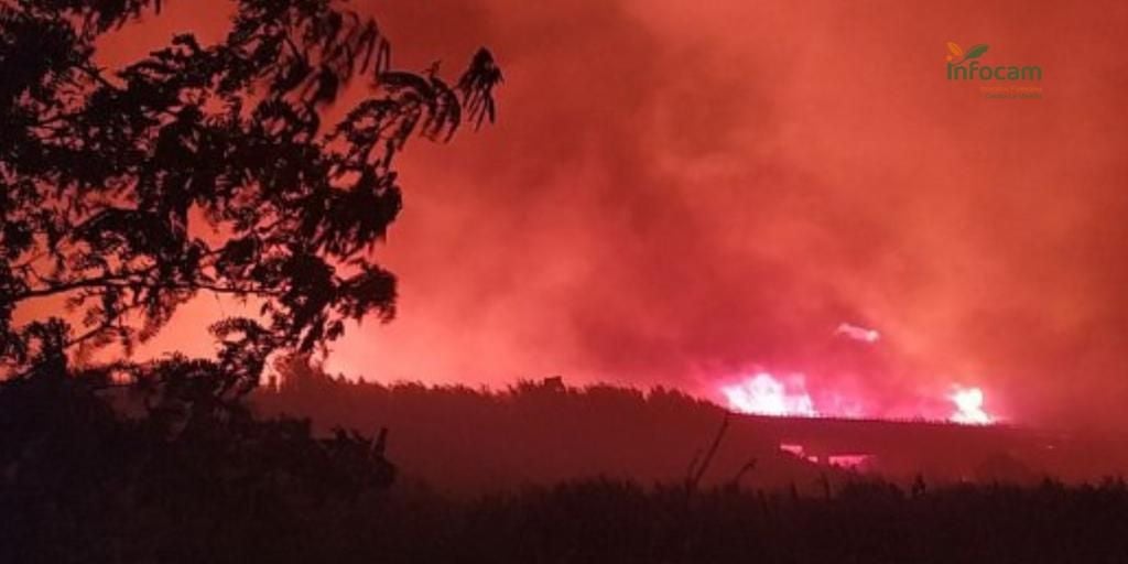 El incendio de Calera y Chozas escala a nivel 2, obliga a cortar la CM-4100 y a recomendar a los vecinos que se confinen