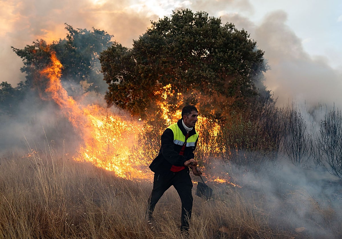 Incendio en Molezuelas (Zamora)