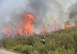 Cuatro de los heridos en los incendios de Zamora y León se encuentran en estado crítico