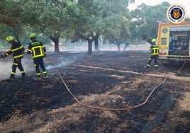 Un incendio con varios focos en Jerez obliga a la intervención de medios aéreos y terrestres