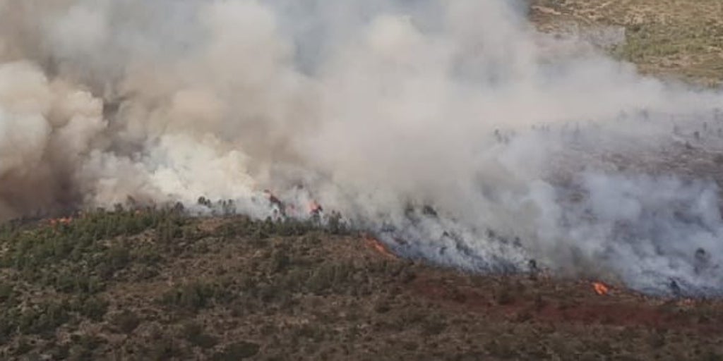 Declarado un incendio forestal por un rayo en Teresa de Cofrentes