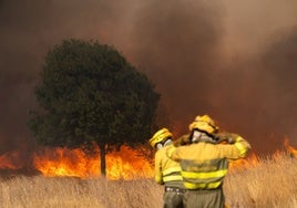 Más de 7.000 evacuados en el incendio que afecta a Zamora y León