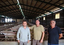 La Junta abona más de 38 millones en ayudas directas al ovino y caprino de Castilla-La Mancha