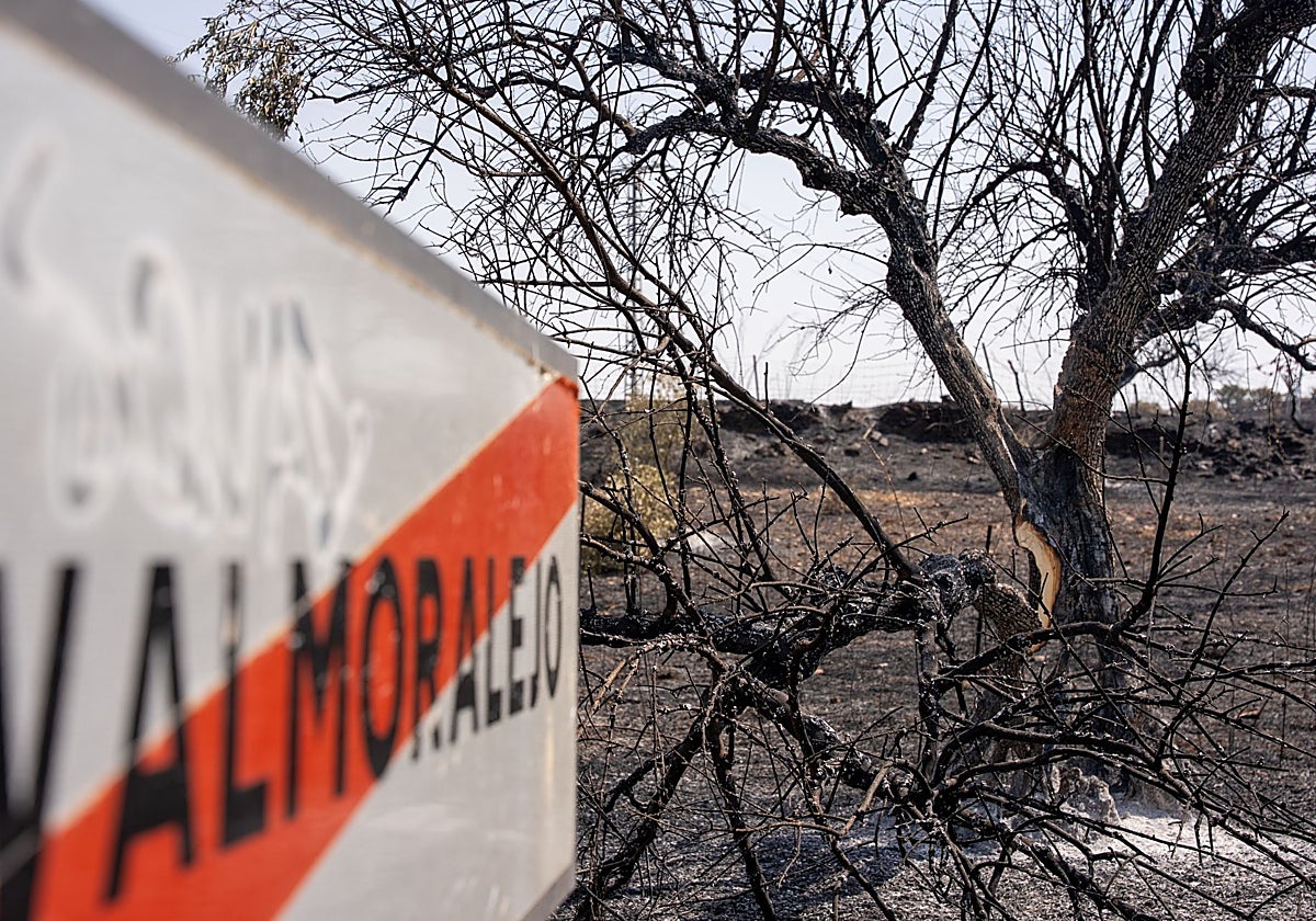 AEl término municipal de Nalvamoralejo totalmente calcinado