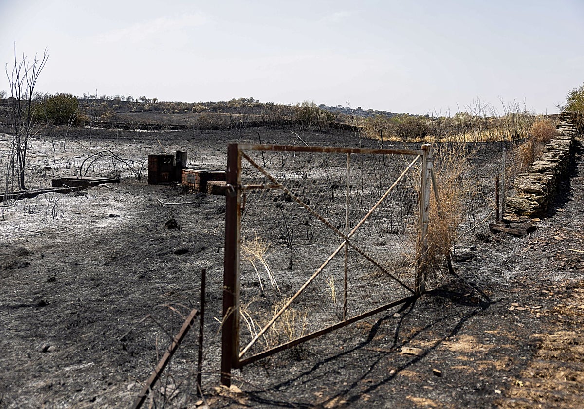 Así ha quedado el área periférica del municipio toledano