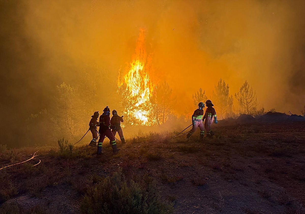 Efectivos de la UME, trabajando en uno de los incendios de Castilla y León