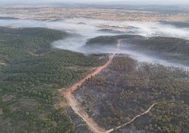 Incendio en Huelva: El Infoca logra perimetrar el fuego en Aroche y trabaja en «enfriar los puntos calientes»
