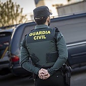 Localizan en Torrevieja a un hombre que arrojó desde su coche un gato y lo atropelló hasta su muerte