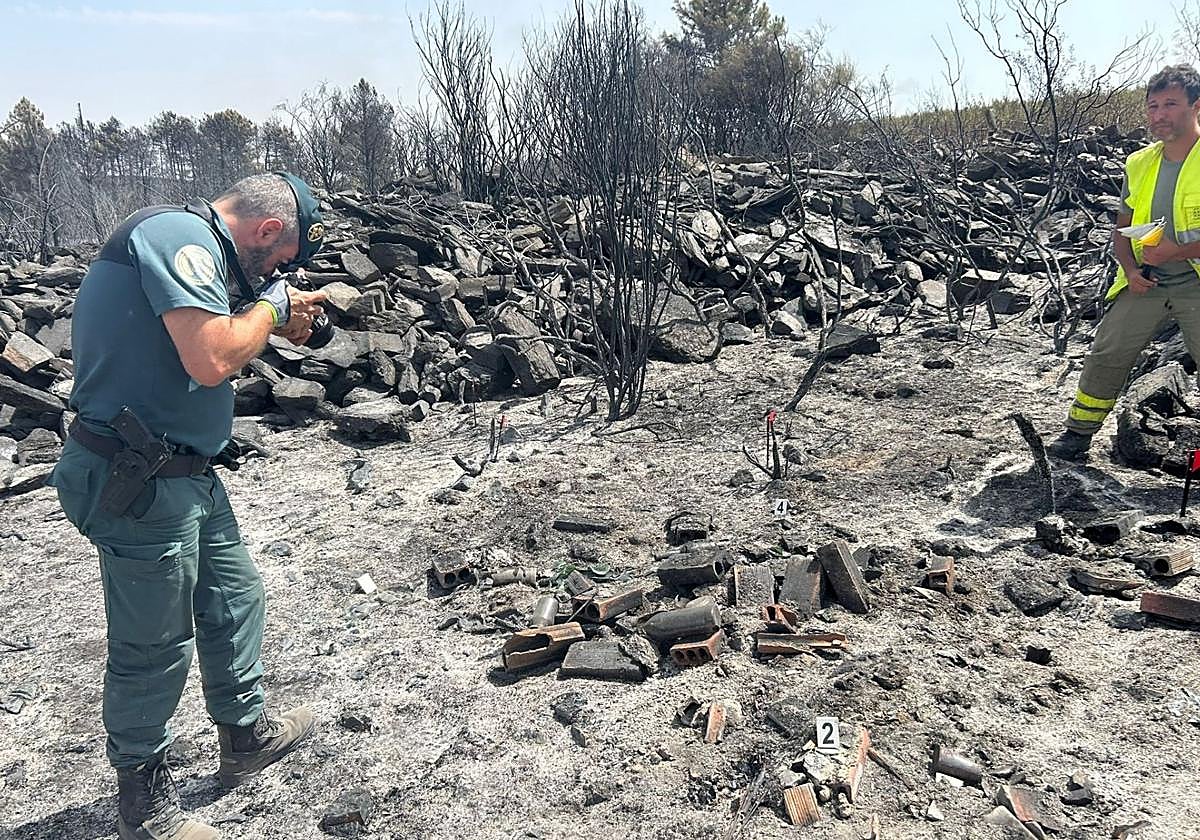 La Guardia Civil fotografía pruebas del posible foco del incendio declarado el pasado lunes en Puercas (Zamora)