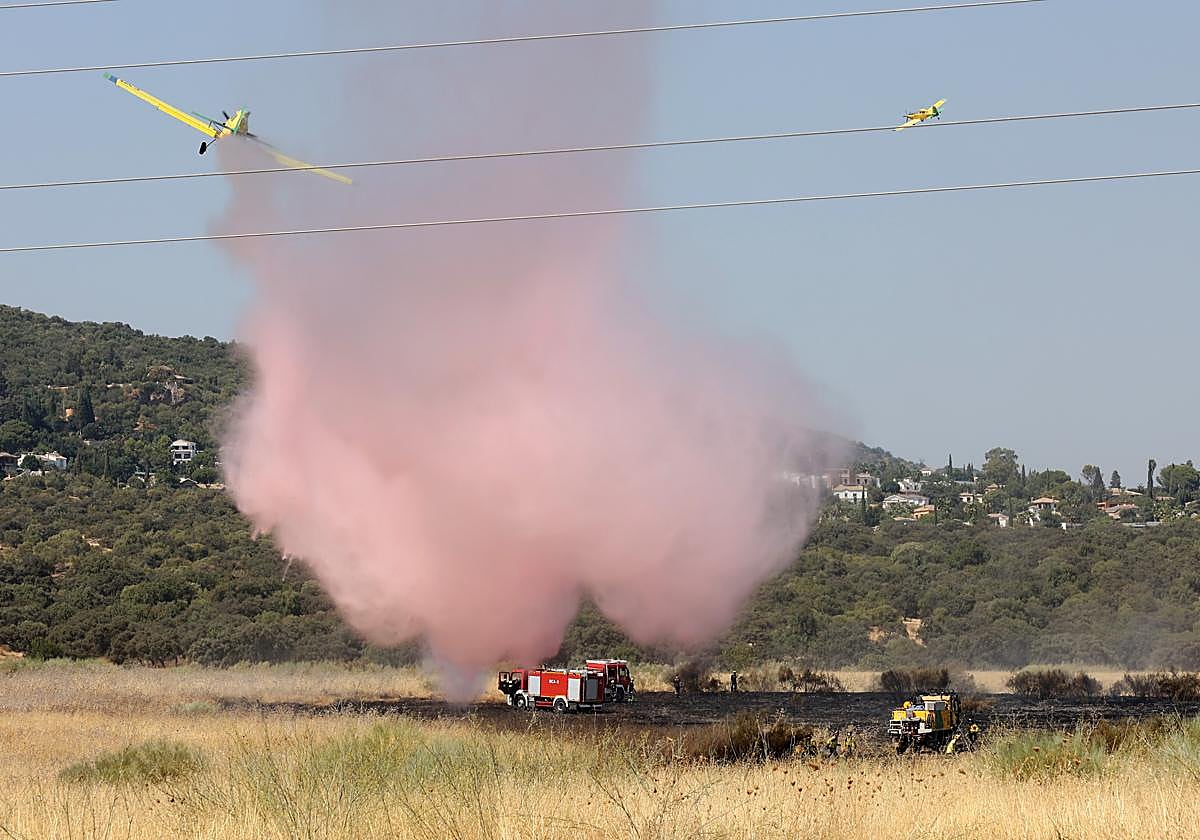 Zona quemada por el incendio junto a las casas de San Rafael de la Albaida