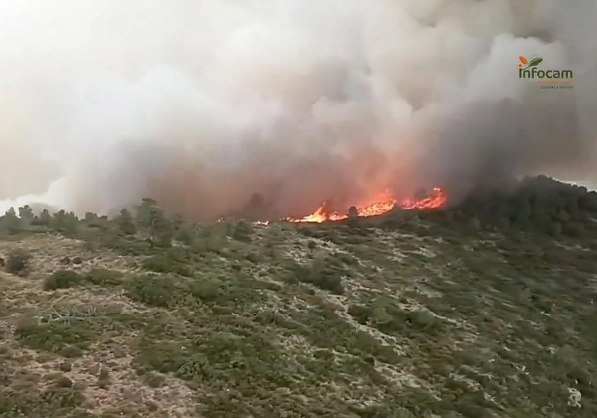 Vista del incendio forestal declarado en Teresa de Cofrentes