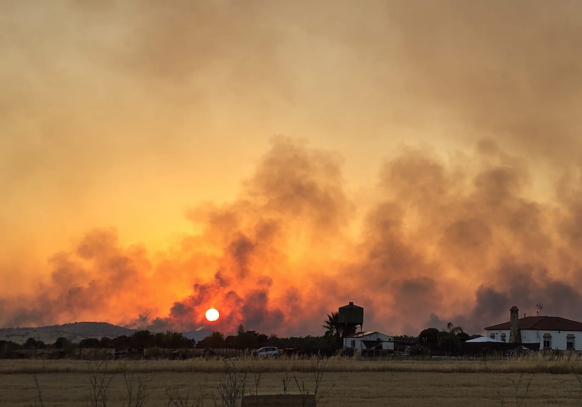 Incendio forestal en la Campiña Sur de Badajoz