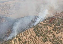 Estabilizado el incendio forestal en Villanueva del Rey, que obligó a cortar la N-432
