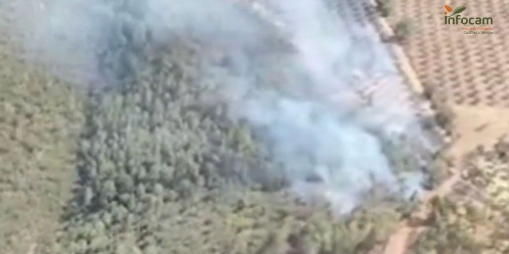 Controlado el incendio forestal de Horcajo de los Montes (Ciudad Real) tras la intervención de 70 efectivos