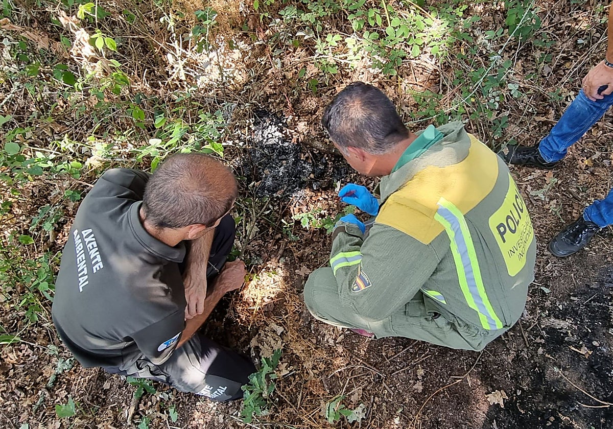 Investigadores de la UIFO en un monte orensano