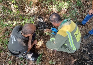 El nuevo perfil de incendiarios: jóvenes que queman el monte por diversión