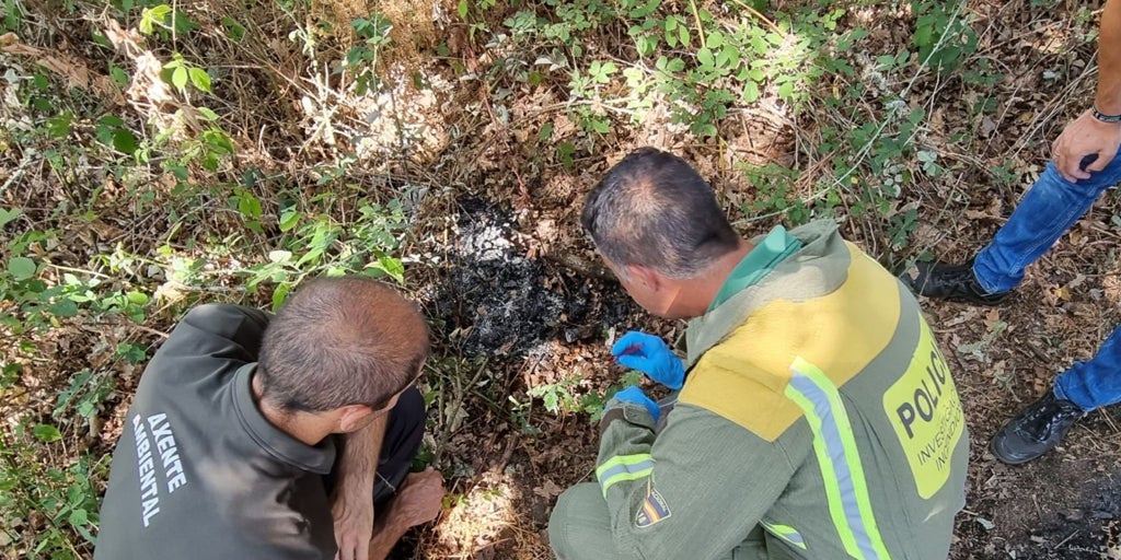 Asoma un nuevo perfil de incendiarios: jóvenes que sólo queman por diversión