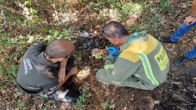 Asoma un nuevo perfil de incendiarios: jóvenes que sólo queman por diversión