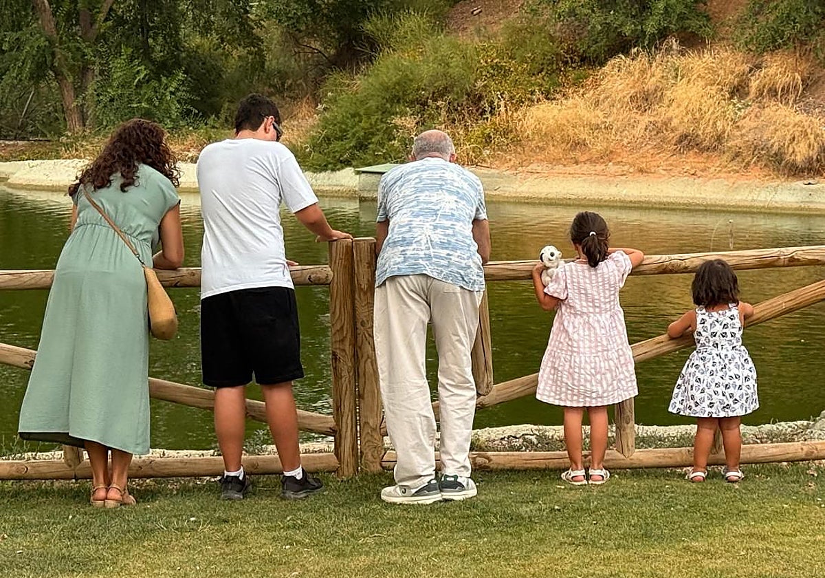 Encuentro entre familias acogedoras y adoptivas, este lunes en el parque de las Tres Culturas de Toledo