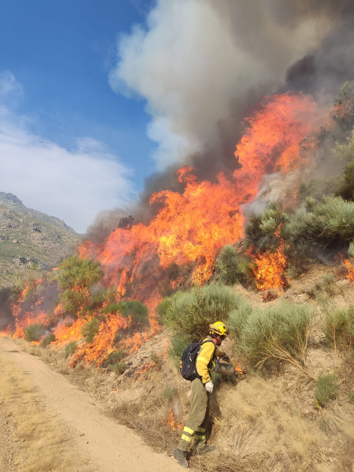 Fuego próximo a Candelario en la sierra de Béjar (Salamanca)