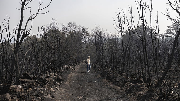 La estampa en los montes de Maceda, con 3.000 hectáreas arrasadas