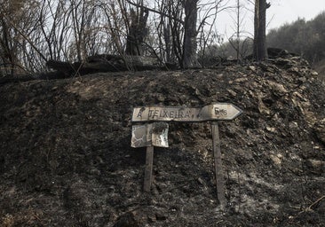 EL DÍA DESPUÉS DEL FUEGO: CUANDO LLUEVEN CENIZAS
