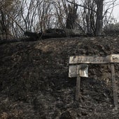 El día después del fuego: cuando llueven cenizas