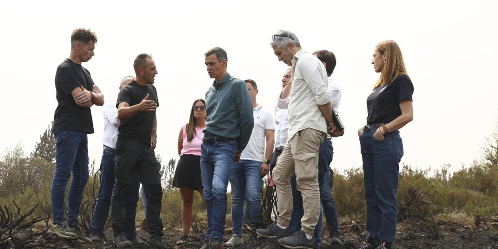 El Gobierno anuncia que se declarará como zona catastrófica áreas afectadas por los incendios