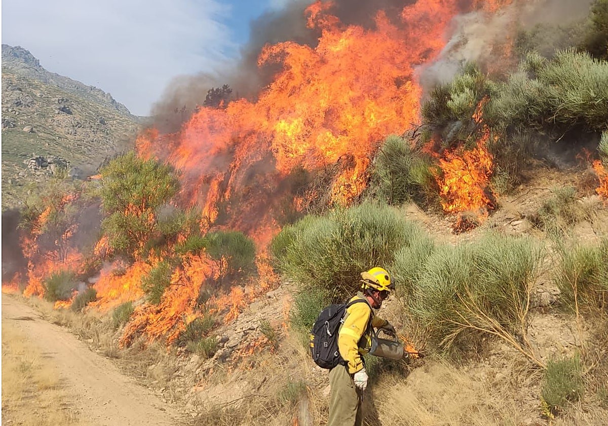 El incendio que afecta a la Sierra de Béjar, cerca de Candelario (Salamanca)