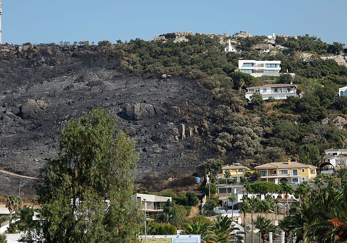 Las consecuencias del fuego en Atlanterra, en Tarifa.