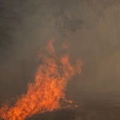 La Xunta de Galicia denuncia la falta de efectivos prometidos por Sánchez
