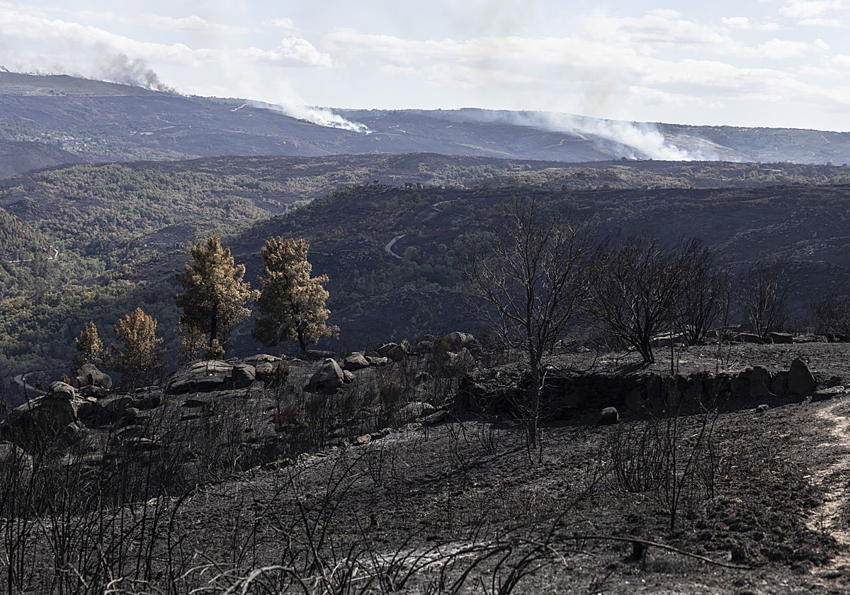 Los daños de los incendios en el paisaje de Vilardevós, Orense