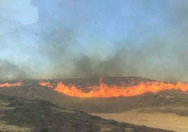 Imagen del incendio de Benamaurel aportada por el Consorcio Provincial de Bomberos